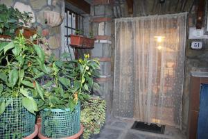 Antica Cantina Poesia, San Vito Romano img14