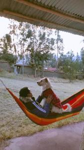 Tonys House Eco Hostel