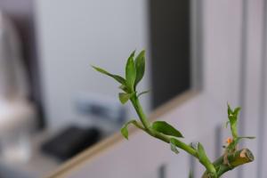 Dilens Bosphorus Hotel