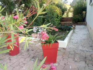 Sejours chez l'habitant Les Roses de Rita : photos des chambres