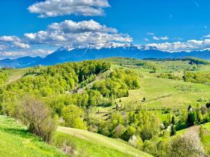 Green Hill Panoramic