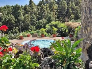 Finca los tamarillos - La Guancha