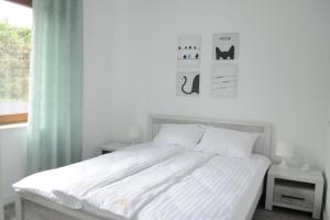 Apartamenty Homole A1