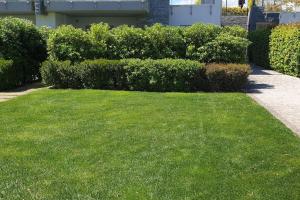 Le Dune 65 Ginestra Silvi Marina