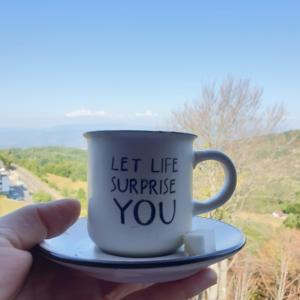 Milmari apartman N67 MAVI