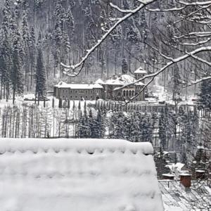 Apartament Kalinderu K3 Busteni