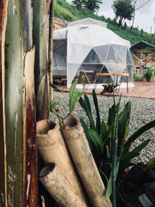 Entre Verdes Hotel & Glamping