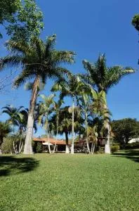 SÍTIO SANTA ROSA de Quadra - 塞萨里乌兰日