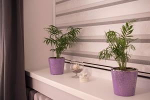 Siauliai Apartments - Lieporiu