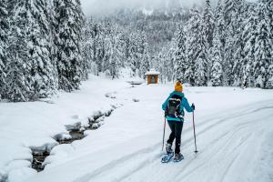 Hotel Panoramic Lotsch