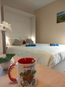 Villages vacances VVF Super-Besse Auvergne Sancy : photos des chambres