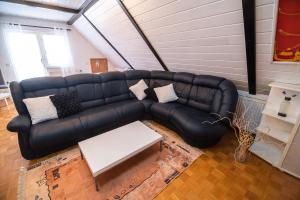 Apartment Tina with Seasonal Pool