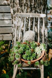 Peintnerhof Appartments & Zimmer