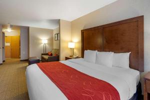 King Suite - Non-Smoking room in Comfort Suites Anchorage International Airport