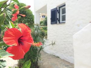 Utopia Hotel Apartments Leros Greece