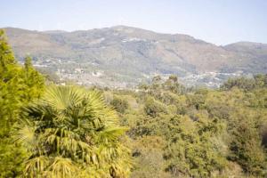 Quintinha de Sabadim - 500 metros da ecovia de Sistelo