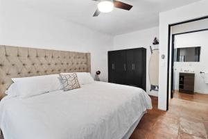 +MS +Suite Insuperable +Óptima Ubicación +150MB 119C