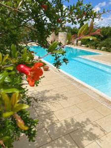 Pugliaholidayplus - VILLA CASSANO