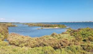 Appartements Le Nautica Plage T2 en bord de mer : photos des chambres