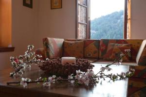Eremia Rustic House - Entire Villa in Pelion