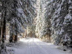 Holiday Home Schönhart by Interhome