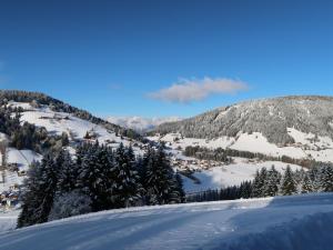 Apartment Lehen by Interhome