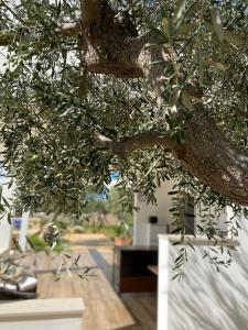 Pugliaholidayplus - LA TORRETTA