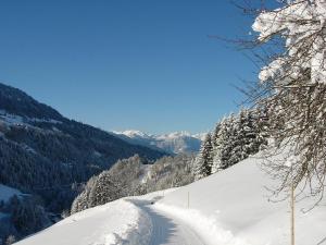 Apartment Elsa by Interhome