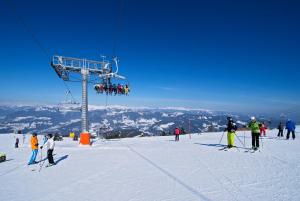 APARTMENT WALD - im Skigebiet Gerlitzen & Ossiacher See