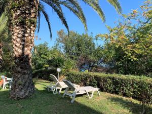 Apartment Tondini by Interhome