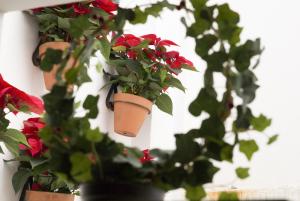 Sea & Wave La Casita de Hinestrosa Apartments