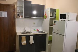 Winter Аpartments Gerovi