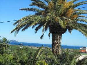 Au Reveil des Cigales