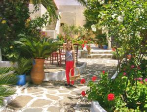 Villa Rena Andros Greece