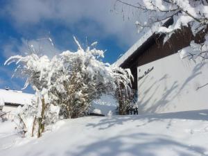 Holiday Home Bilharz