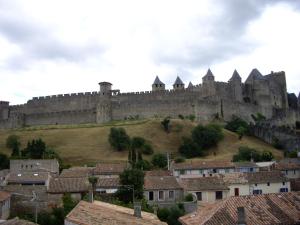 Hotels Hotel Du Pont Vieux : Chambre Double Standard