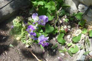 Agriturismo Ticci img38