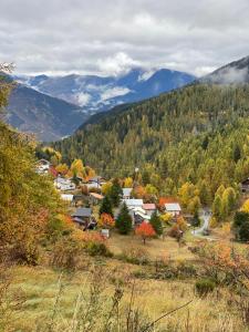 Chalets Magnifique chalet avec SAUNA : photos des chambres