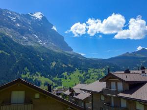 Apartment Chalet Albi-2 by Interhome