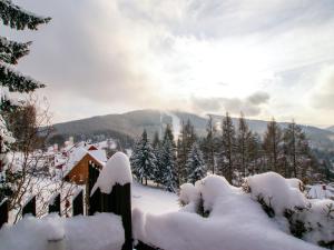 Holiday Home Albrechtice by Interhome