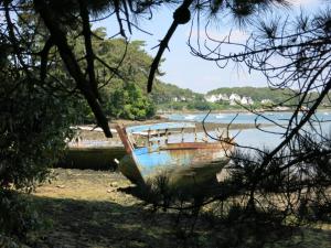 Maisons d'hotes Back To Breizh : photos des chambres