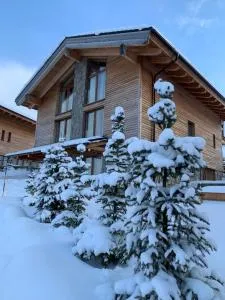 Challet Jasná Exclusive **** - Demanovska Dolina