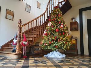 Sojolidays - Appartements d'hotes & Brocante : photos des chambres