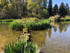 Maisons de vacances Le Penty : photos des chambres