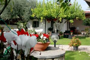 Villa Cecilia Bed and Breakfast