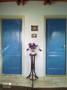 Tőckés Vendégház