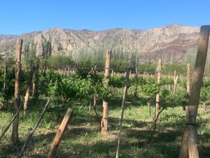 FINCA TIERRA CALMA Casa 2