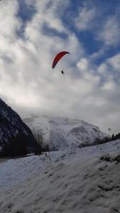 Vénosc-Les 2 Alpes , Rez de jardin