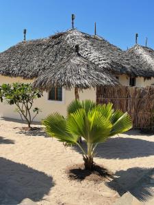 Mambrui Golden Beach Bar and Cottages