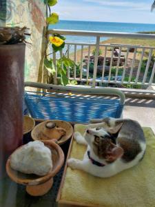 Port Dickson PD Beach Front Homestay